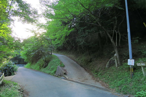 Mt. Takejo