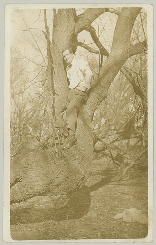 Julery man up a tree