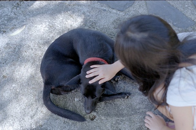 狗與女孩