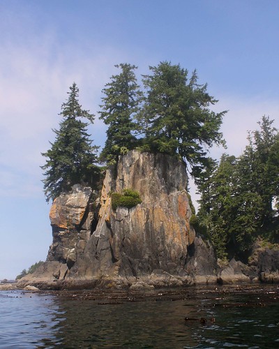 trees vacation island rocks ucluelet 2014