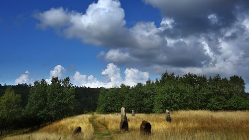 schweden halland bronzezeit gräberfeld örelid