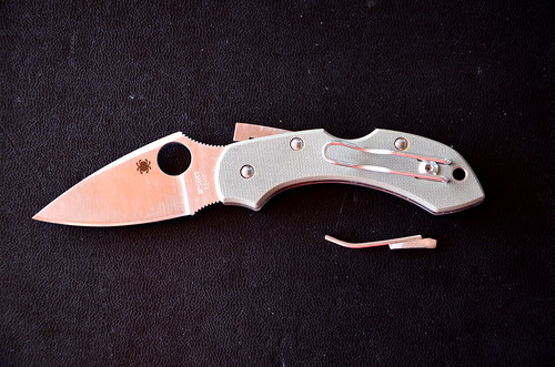 busted spyderco dragonfly 2 in g10