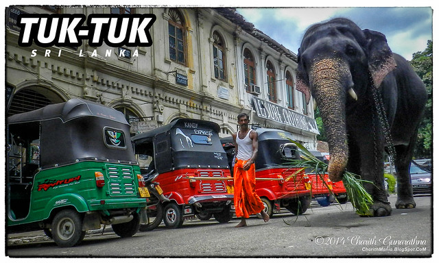 TUK-TUK Sri Lanka
