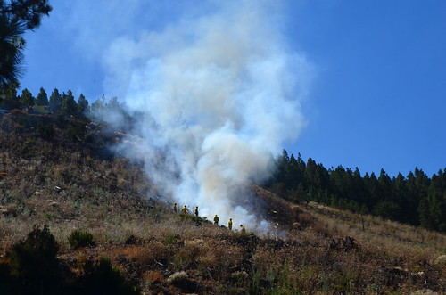 Forest fire, La Orotava