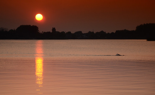 sunset sun lake water evening nikon swimmer rietplas d5100