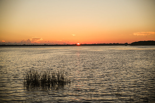 florida myakkariverstatepark uppermyakkalake water lake sunset sun