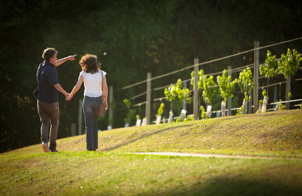 How to Choose a Great Wine Tour Package