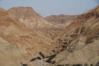 NGUEDI- MASADA-QUM RAN-JERUSALEN - A la búsqueda de la piedra antigua. (16)