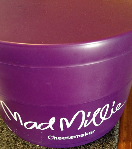 a large round purple cheese incubator, lid on, with Mad Millie logo