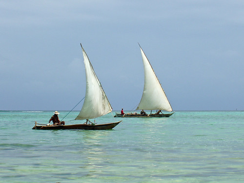 Zanzibar: Dhows
