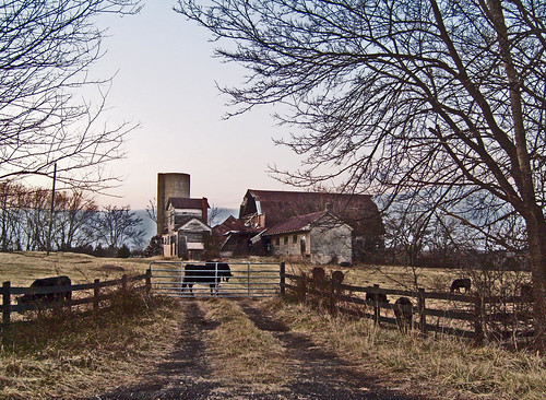 architecture barn landscape virginia us twilight cattle farm va culpepercounty