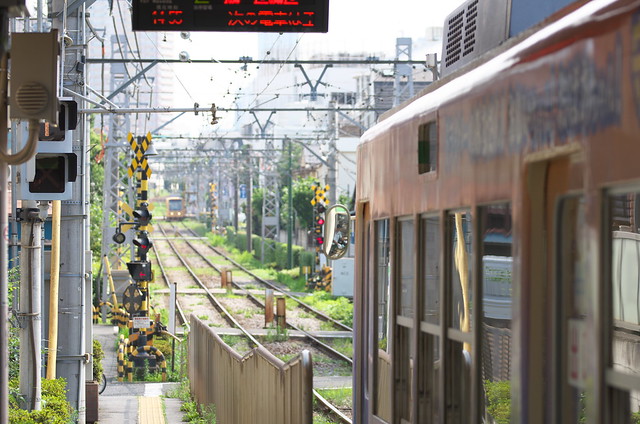 Tokyo Train Story 都電荒川線 2014年7月12日