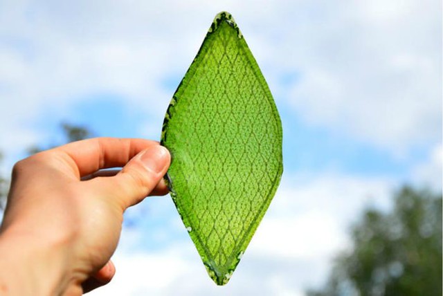 1_silk-leaf-diarioecologia.jpg