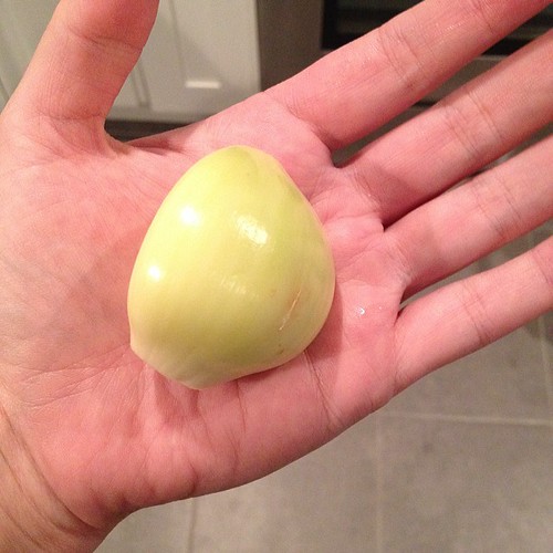 One clove of garlic! (Elephant Garlic)