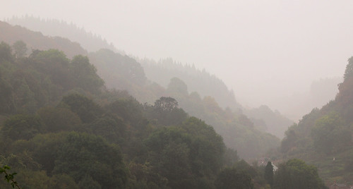 misty fog day valley lydbrook