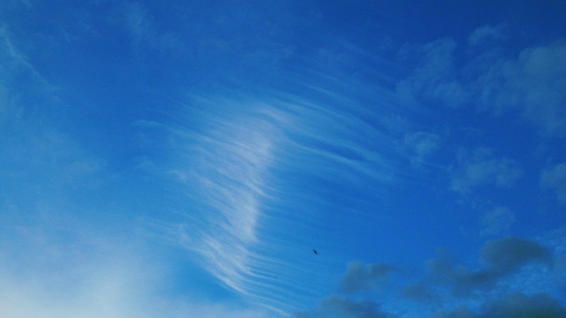 Cirrus in a mixed sky