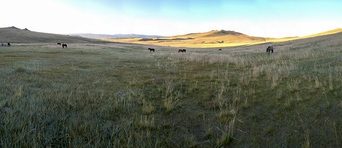 asie paysage genre panoramique mongolie equestre géographie övörhangay