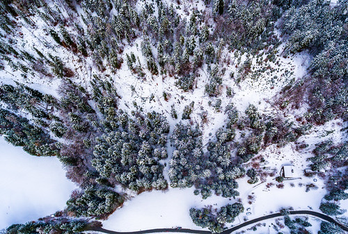 hintersteiner forrest aerial look down snow trees lake austria see dji phantom drone landscape