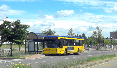autobus Busotto n°82 al capolinea 12 Polo Scolastico Leonardo