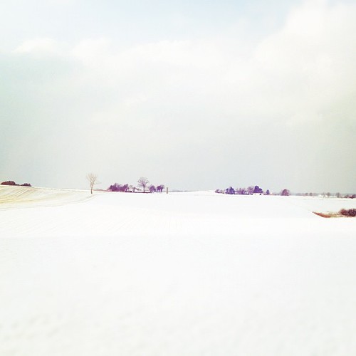 snow landscape view uploaded:by=flickstagram instagram:venue=419369 instagram:venuename=gilleleje instagram:photo=6759031037975099