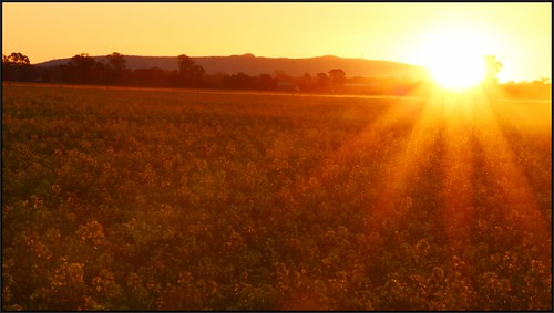 sunset sky silhouette colours australia victoria farmlands mtarapiles quantong cloudsstormssunrisesunset
