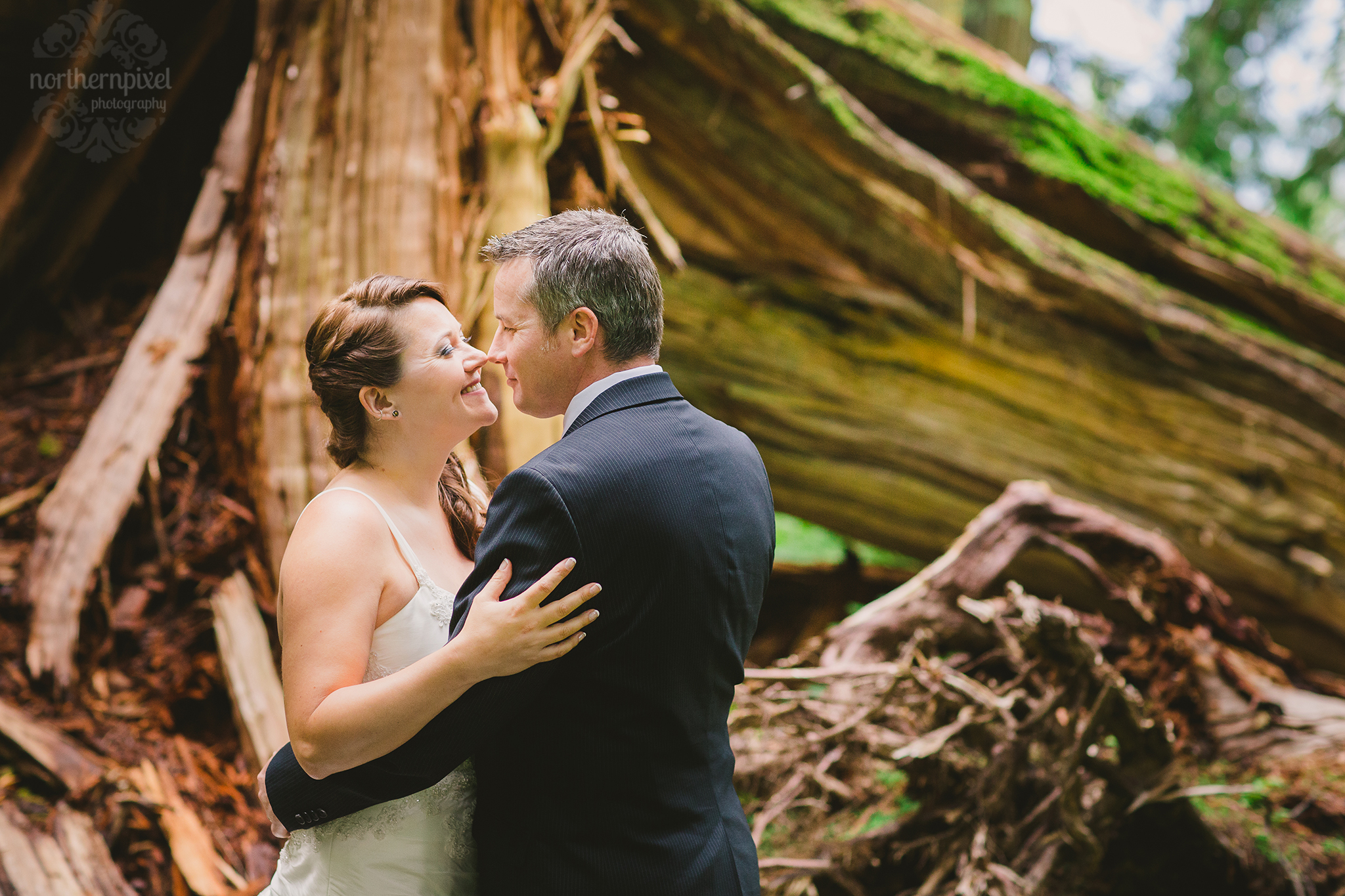 Clarke & Andrea - Ancient Forest Wedding Photos