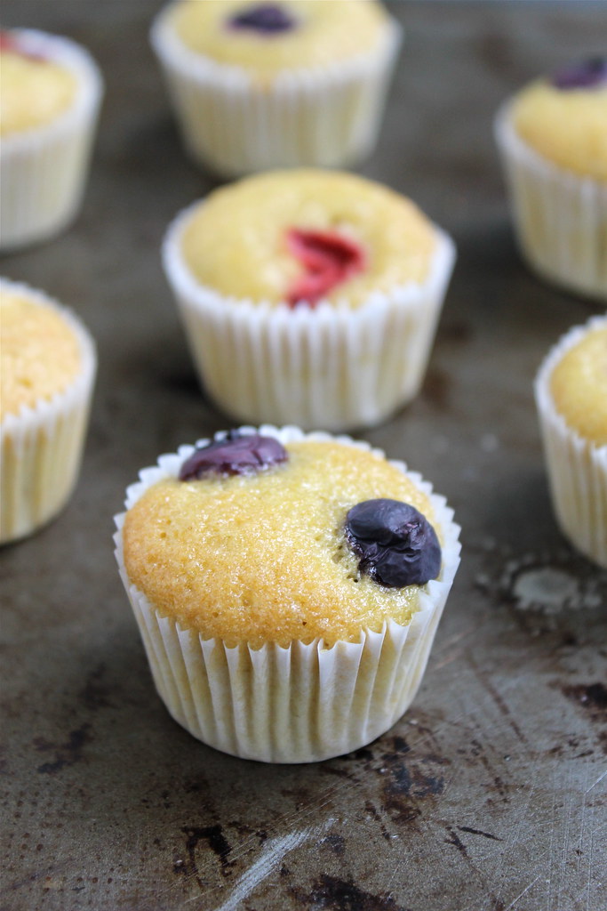 Blueberry Topped Citrus Olive Oil Muffins | http://www.katesshortandsweets.com