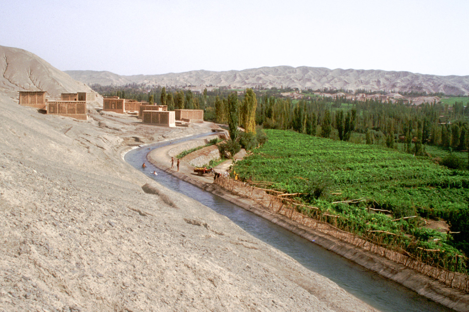 Turpan - Province du Xinjiang - De la vigne dans le désert