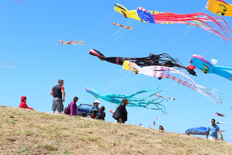 Kites up high