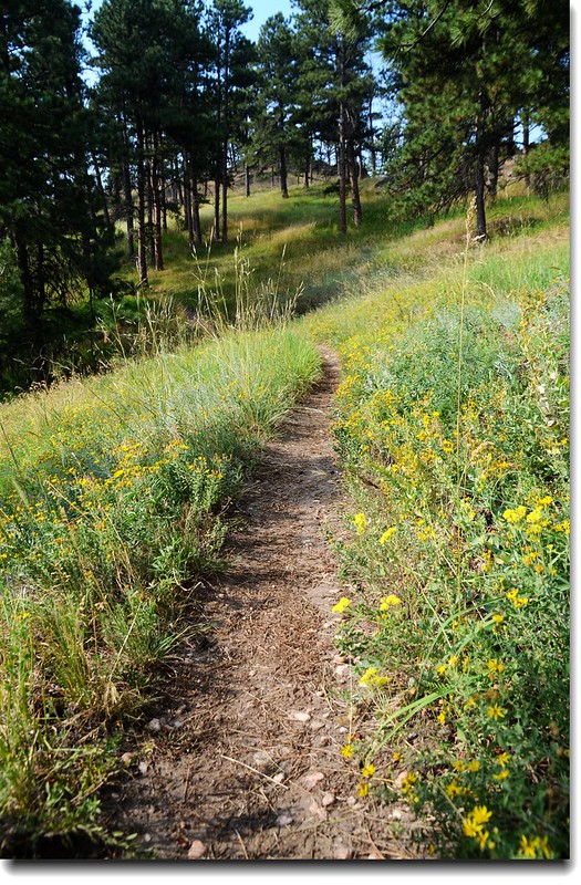 Hiking trail in White Ranch Park 1