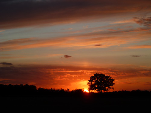 sunset sky silhouette clouds atardecer evening suffolk oak sonnenuntergang pôrdosol eastanglia coucherdusoleil