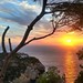 Ibiza - Cala Vedella Sunset - Ibiza #sunset #sunrise #sun #TagsForLikes #TFLers #pretty #beautiful #red #orange #pink #sky #skyporn #cloudporn #nature #clouds #horizon #photooftheday #instagood #gorgeous #warm #view #night #morning #silhouette #instasky #