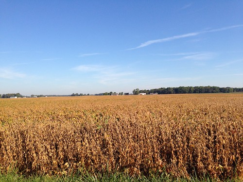 sky fall midwest indiana fields soybeans