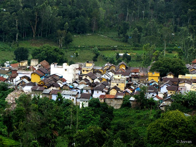Thandikudi,  a close-up at the village