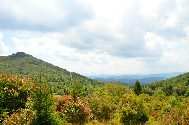 The late summer view at Grayson Highlands includes the foothills and wild blueberry bushes