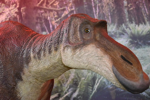 dinosaur D750 04