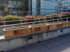 Accessible Planters