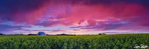pink sunset decay farm sean shack colourful schuster canola priaire