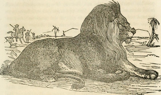 Image from page 480 of "The panorama of nations : comprising the characteristics of courage, perseverance, enterprise, cunning, shrewdness, vivacity, ingenuity, contempt of danger and of death exhibited by people of the principal nations of the world, as