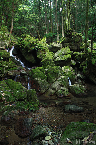Yagiyama Stream Park