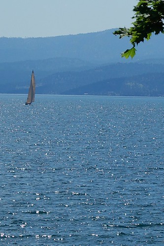 vacation sailboat montana flatheadlake flathead flatheadlodge