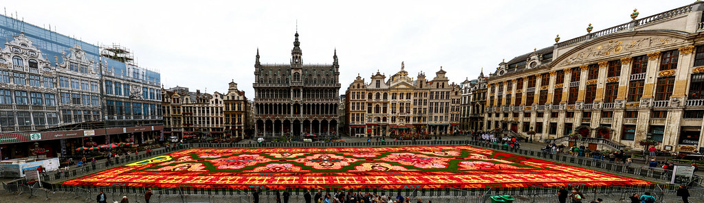 Brussels flower carpet 2014 (111Mpx)