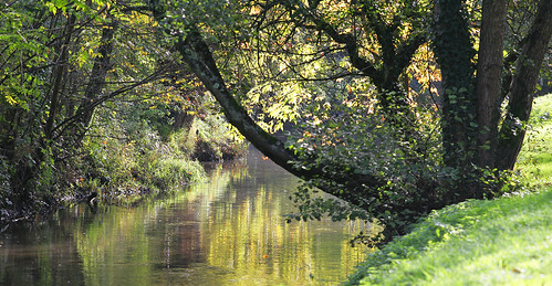 park france tree nature water canon landscape eau reserve natura paysage acqua parc aquitaine gironde begles mussonville bordeauxmetropole