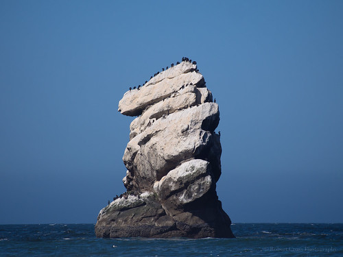 ocean california blue seascape birds landscape pacific olympus morrobay omd em5 75300mmf4867iimzuiko