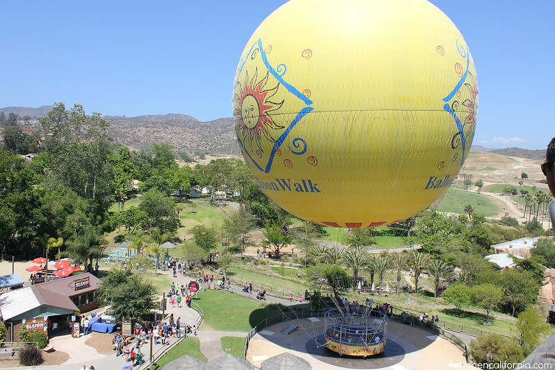 San Diego Safari Park Balloon