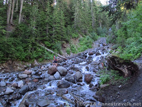 Stream crossing on the Heliotrope Divide Trail, Mt. Baker Wilderness, Washington