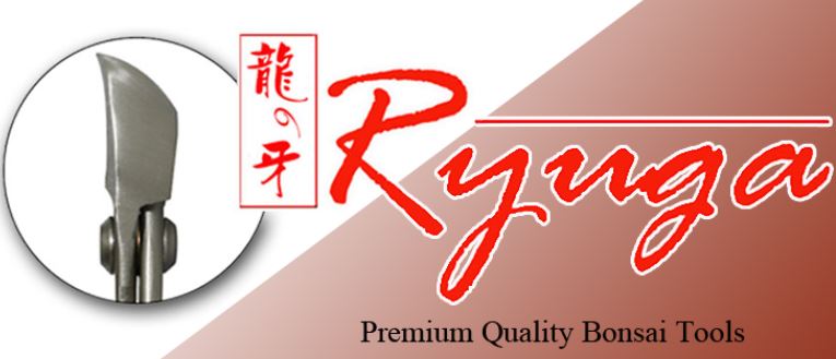 Brosse plate - Brosse de nettoyage plate 240mm Ryuga Bonsai