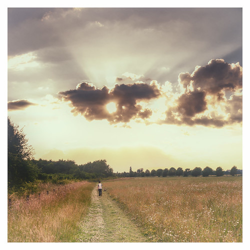 sunset england sun clouds walking unitedkingdom path sony meadow route sunrays a77 southoxfordshire longwittenham sonyalpha andyhough slta77 andyhoughphotography