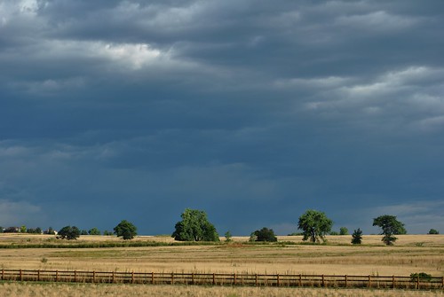 trees usa storm weather clouds rural fence dark landscape colorado day cloudy stormy cottonwood prairie darkclouds darksky impending lafayettecolorado impendingrain lafayetteco greatbarkdogpark pwcloudy lafayettecoloradolafayettecoloradolafayette colafayetteco