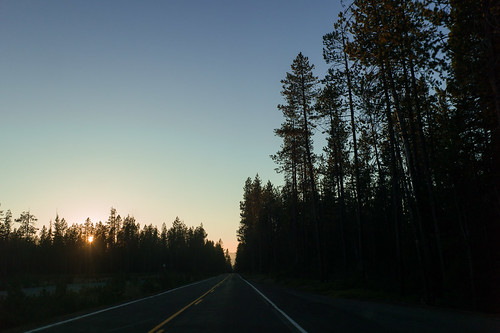 road sunset shadow summer silhouette oregon forest roadtrip summicron m9 2014 mountainroad 35mmf2 umpquanationalforest whatimseeing oregon62